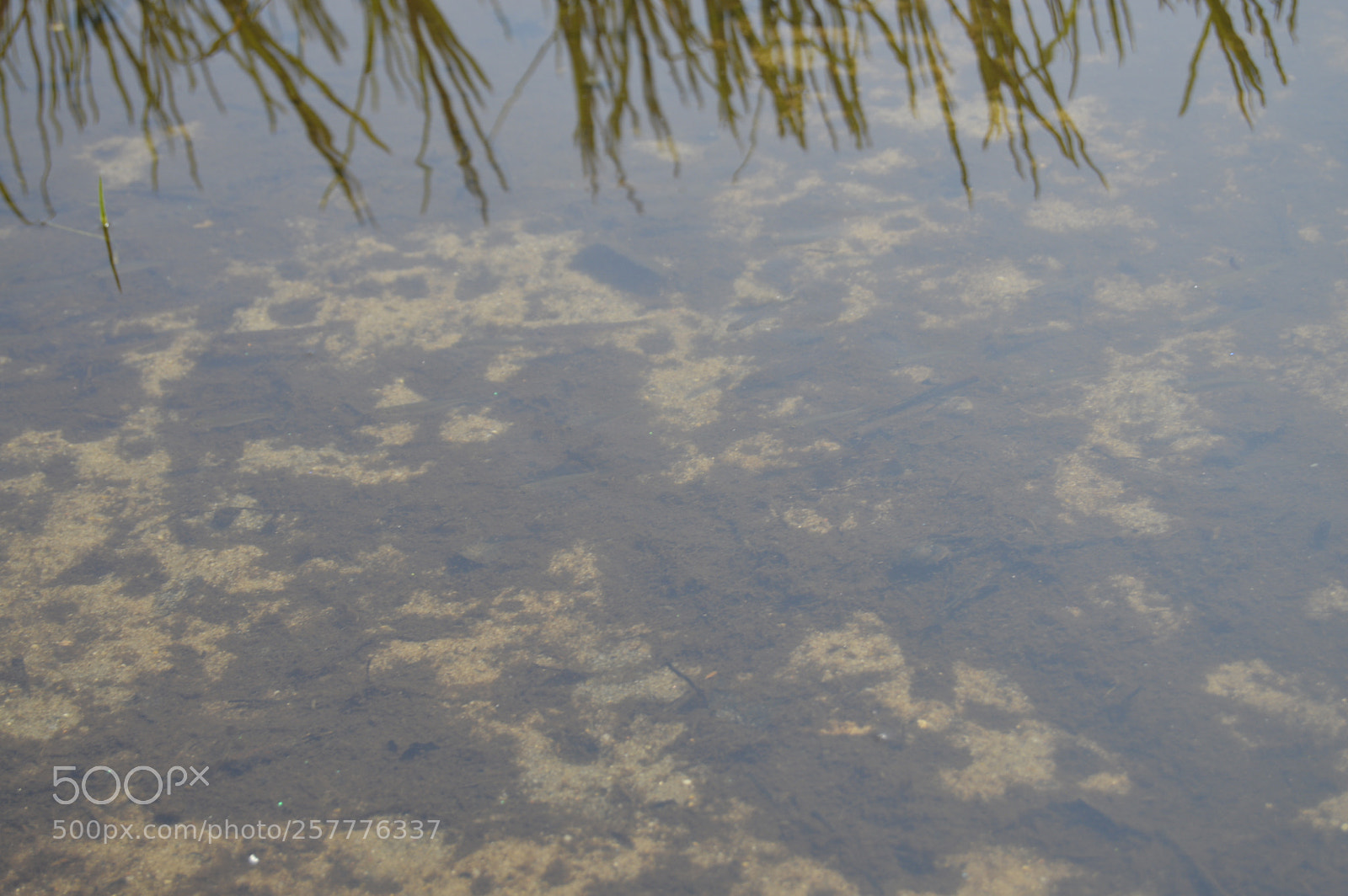Nikon D3200 sample photo. Put & take photography