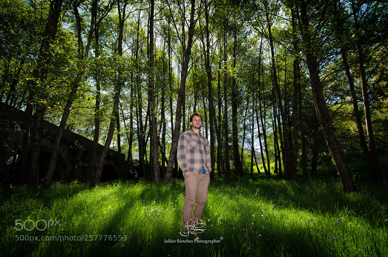 Nikon D5100 sample photo. Fresh air... photography