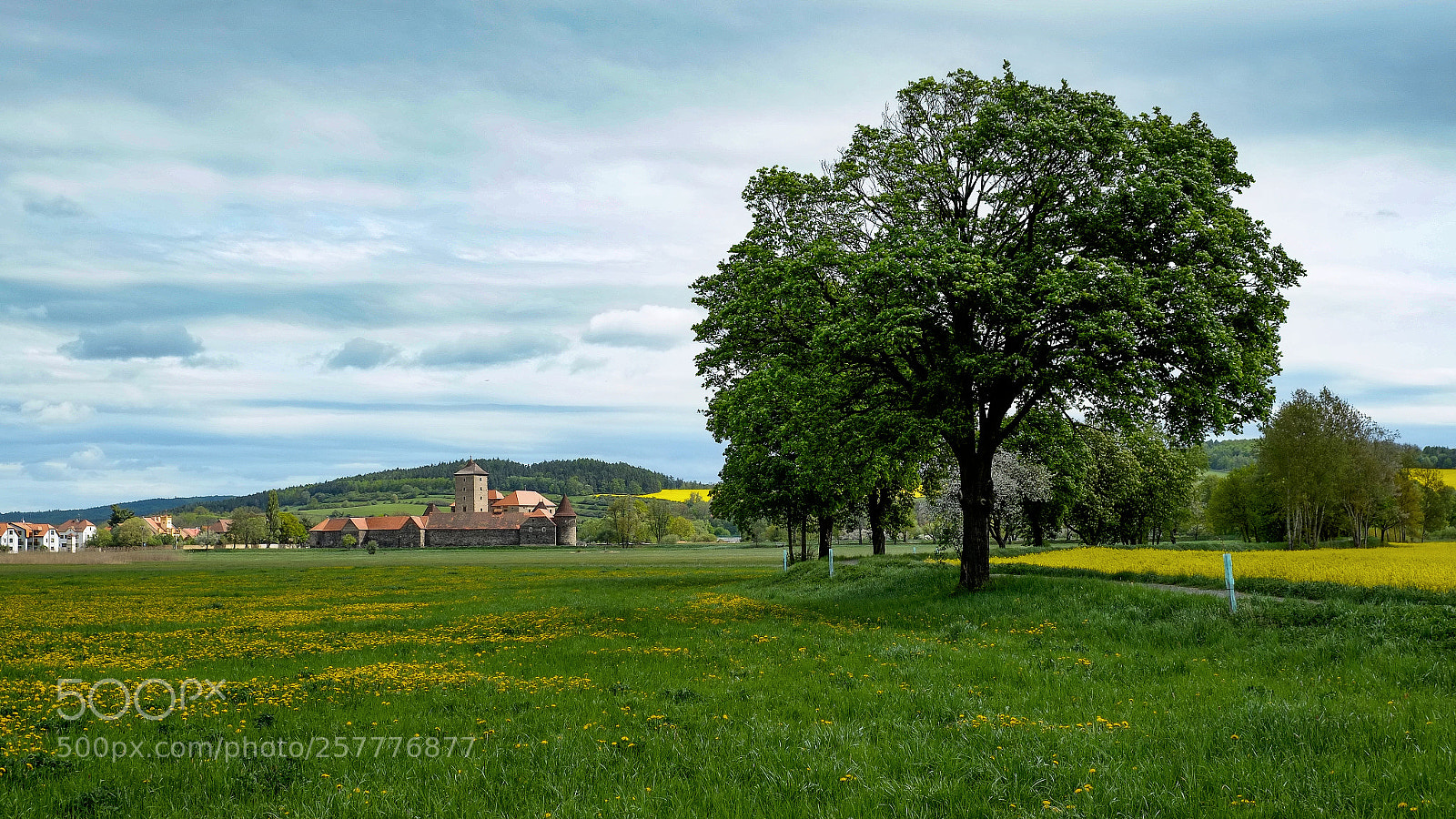 Fujifilm X-E1 sample photo. A small castle under photography