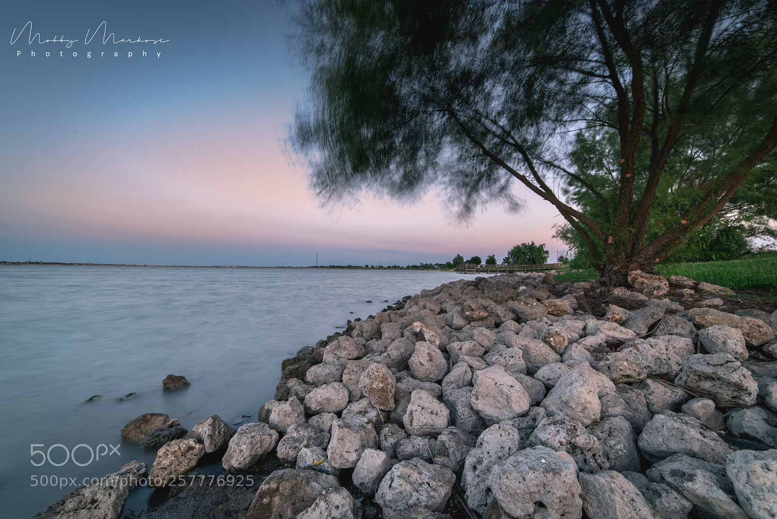 Nikon D750 sample photo. Breezy lakeside photography