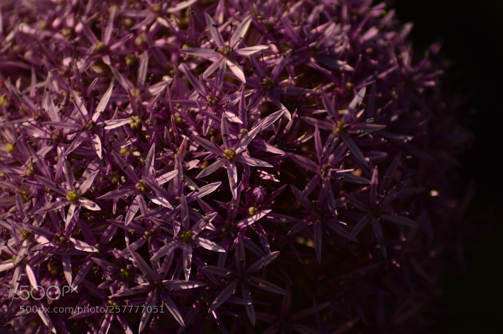 Nikon D3200 sample photo. One among many photography