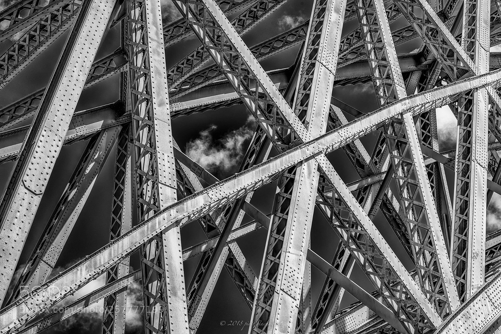 Nikon D810 sample photo. El galimatías... photography