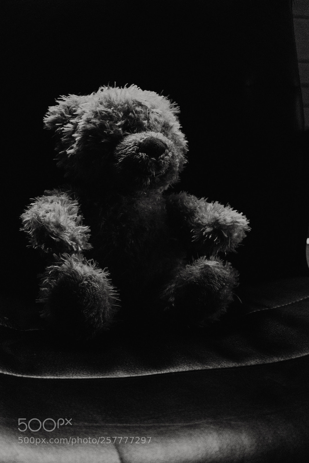 Nikon D3300 sample photo. Ted photography