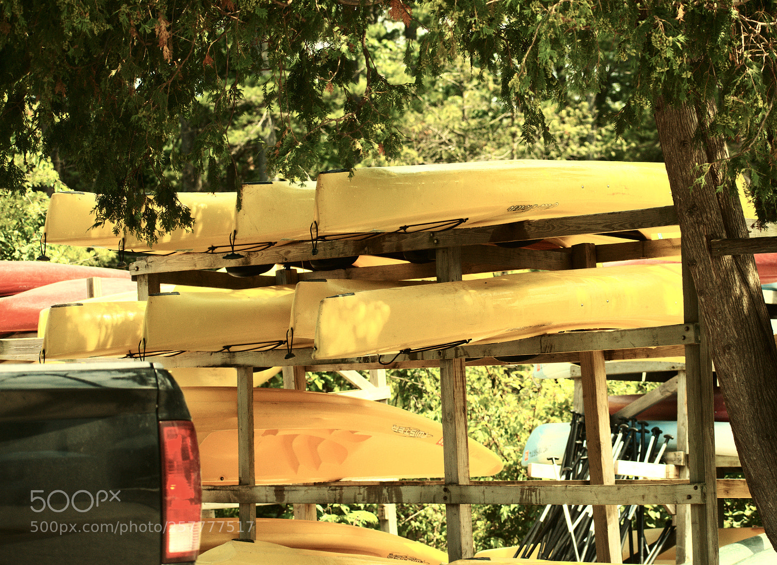 Nikon D3400 sample photo. Canoes photography