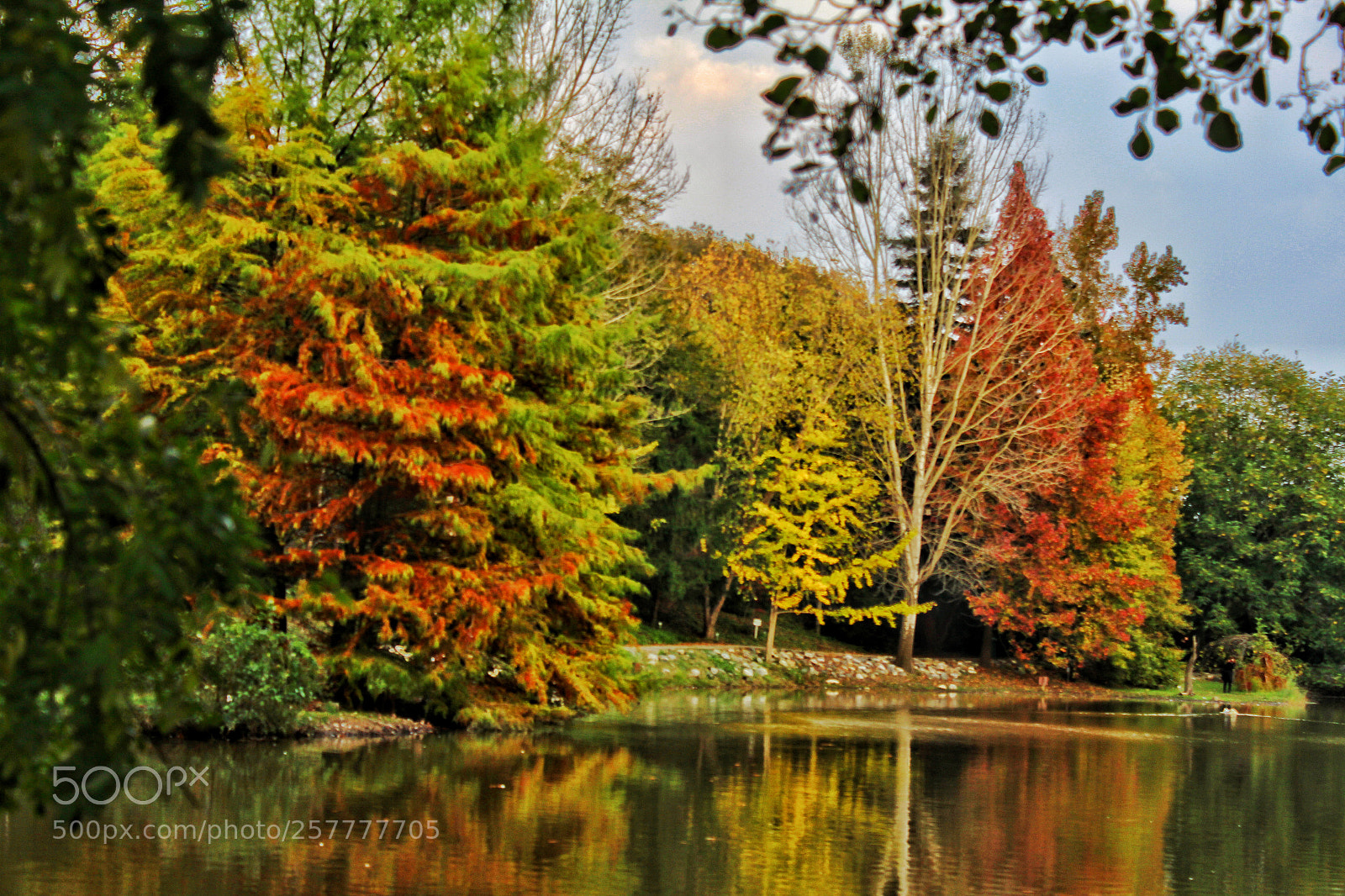 Canon EOS 600D (Rebel EOS T3i / EOS Kiss X5) sample photo. A belgrad forest lake photography