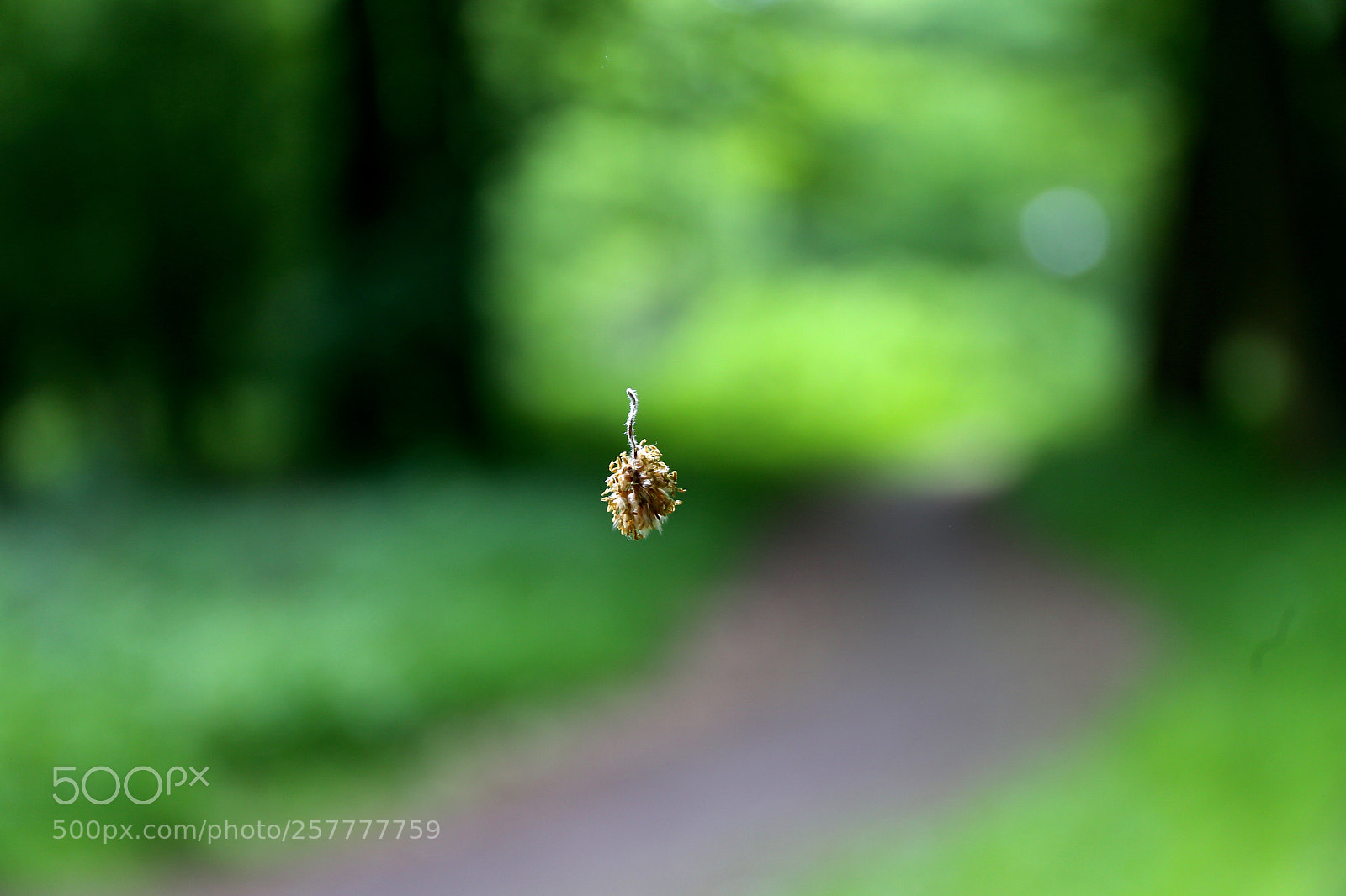 Canon EOS 6D sample photo. Berlin - buch photography