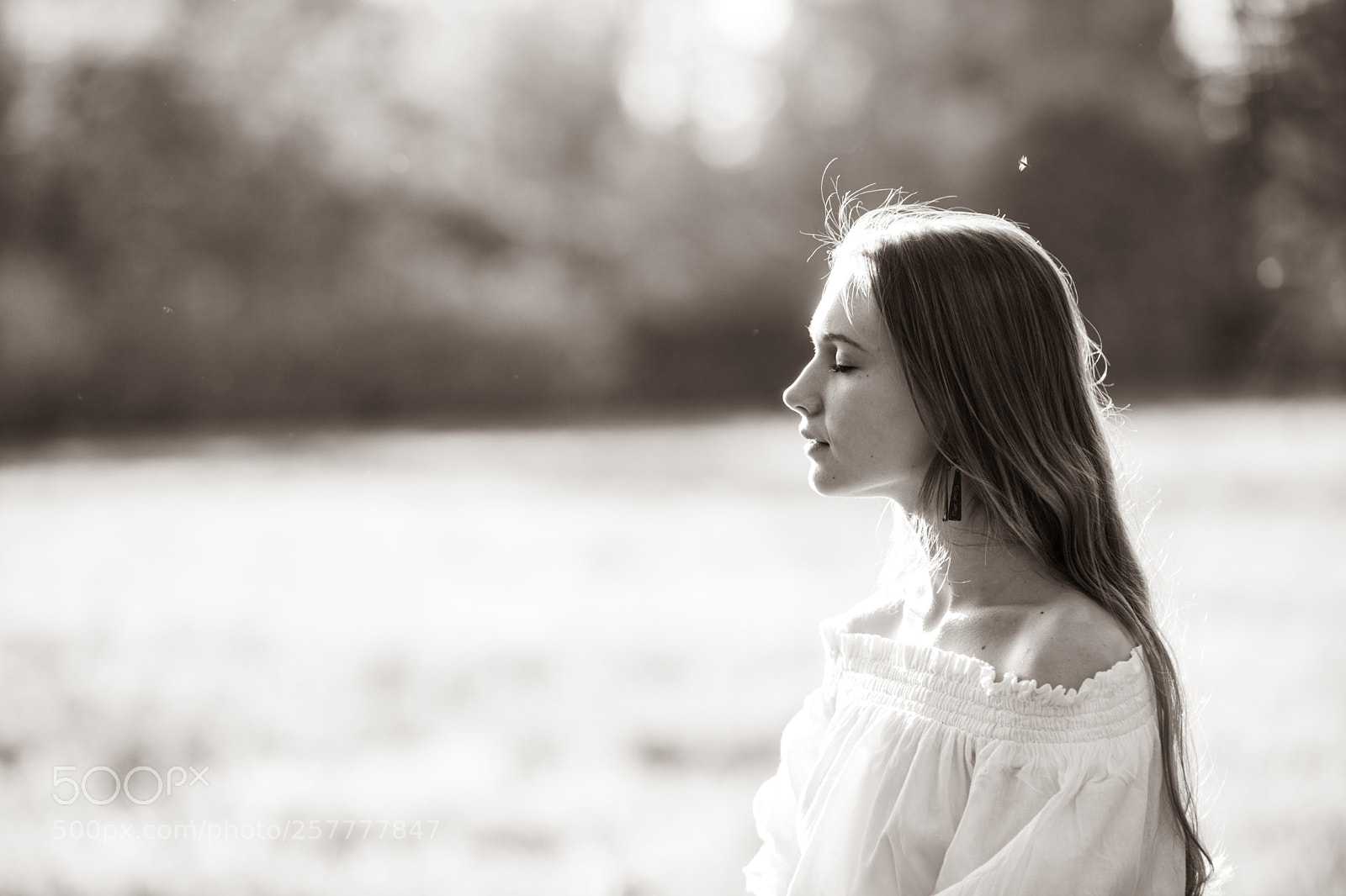 Nikon D850 sample photo. *** photography