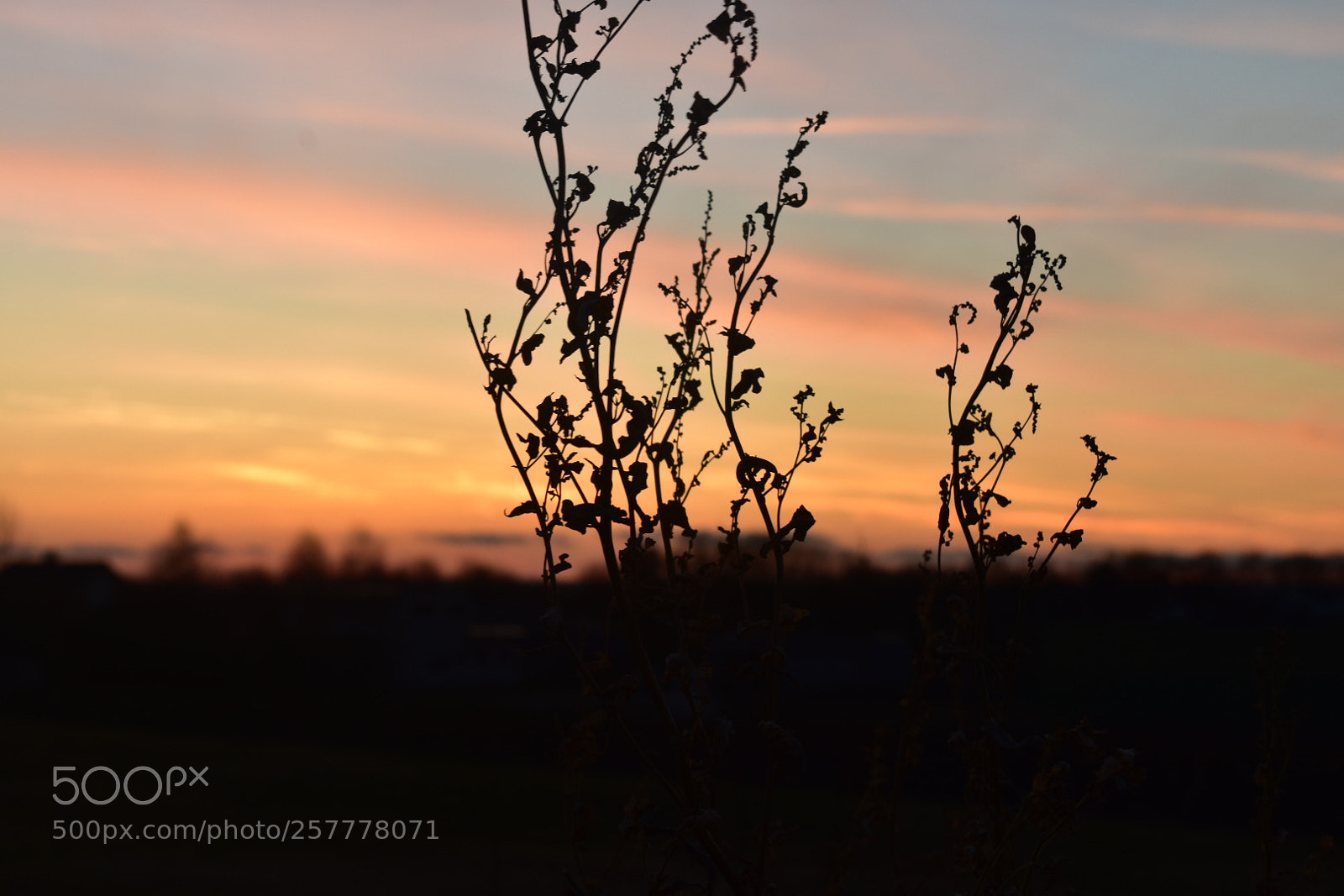 Nikon D3400 sample photo. Untitled photography