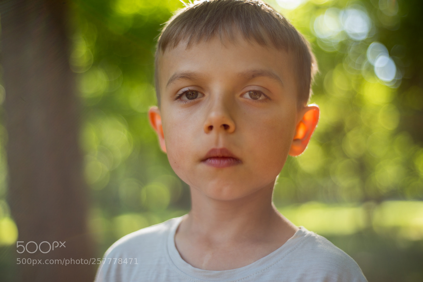 Nikon D810 sample photo. Piotruś photography