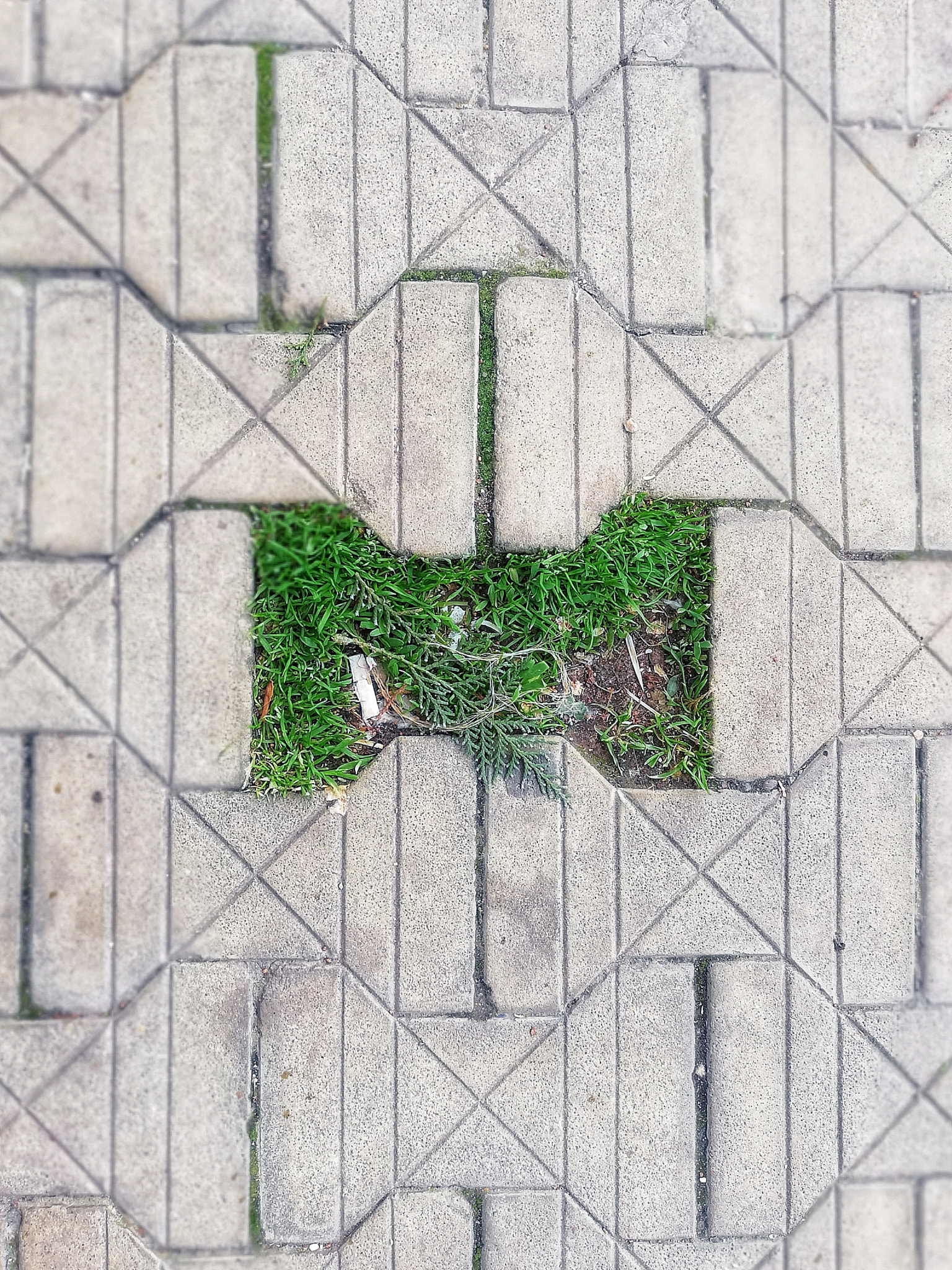 HUAWEI Mate 10 Lite sample photo. Pavement photography