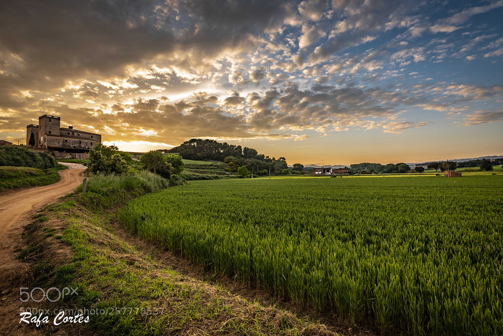 Nikon D750 sample photo. Atardecer en gallecs_2 photography