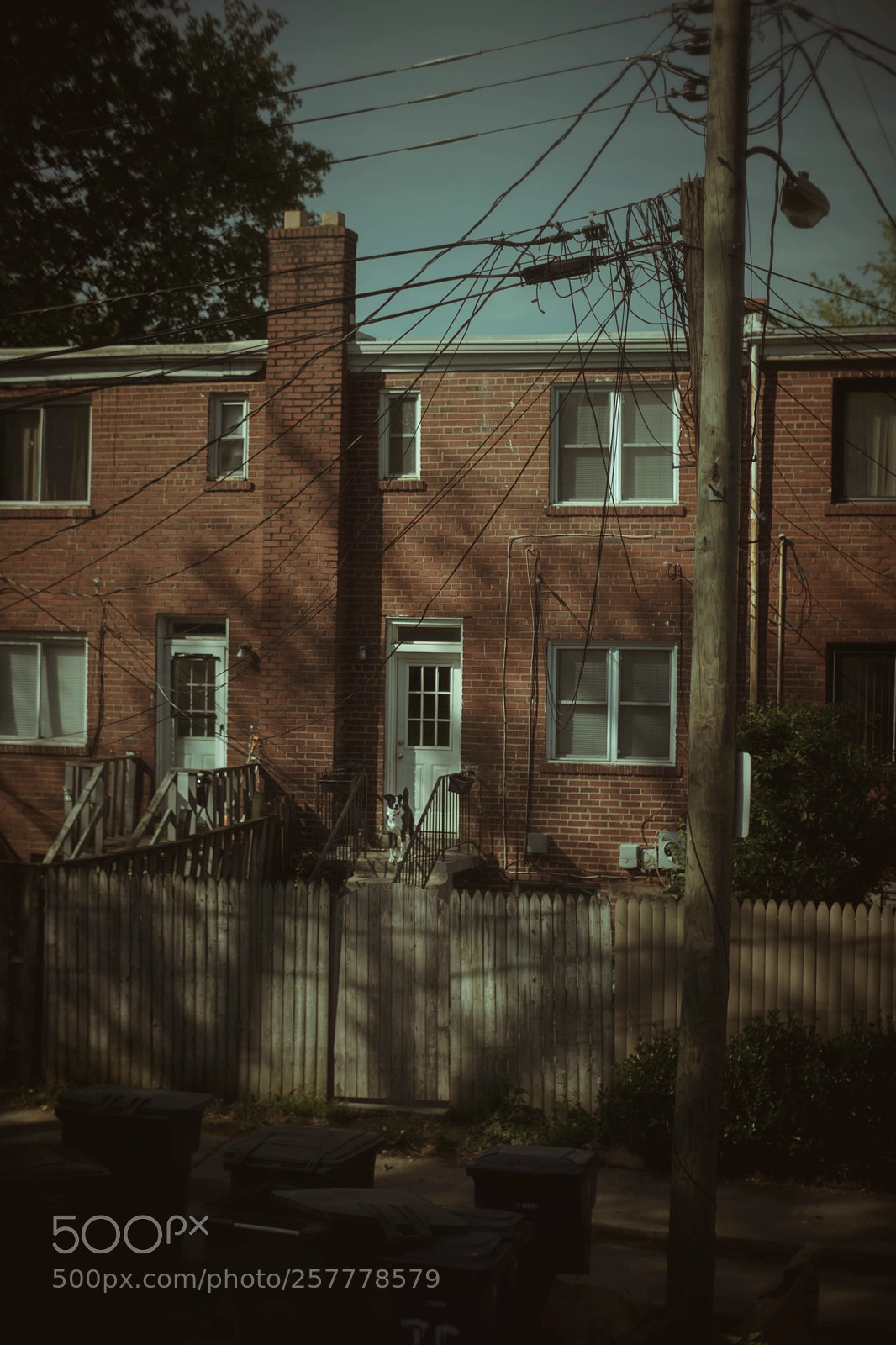 Fujifilm X-Pro2 sample photo. My neighborhood  photography