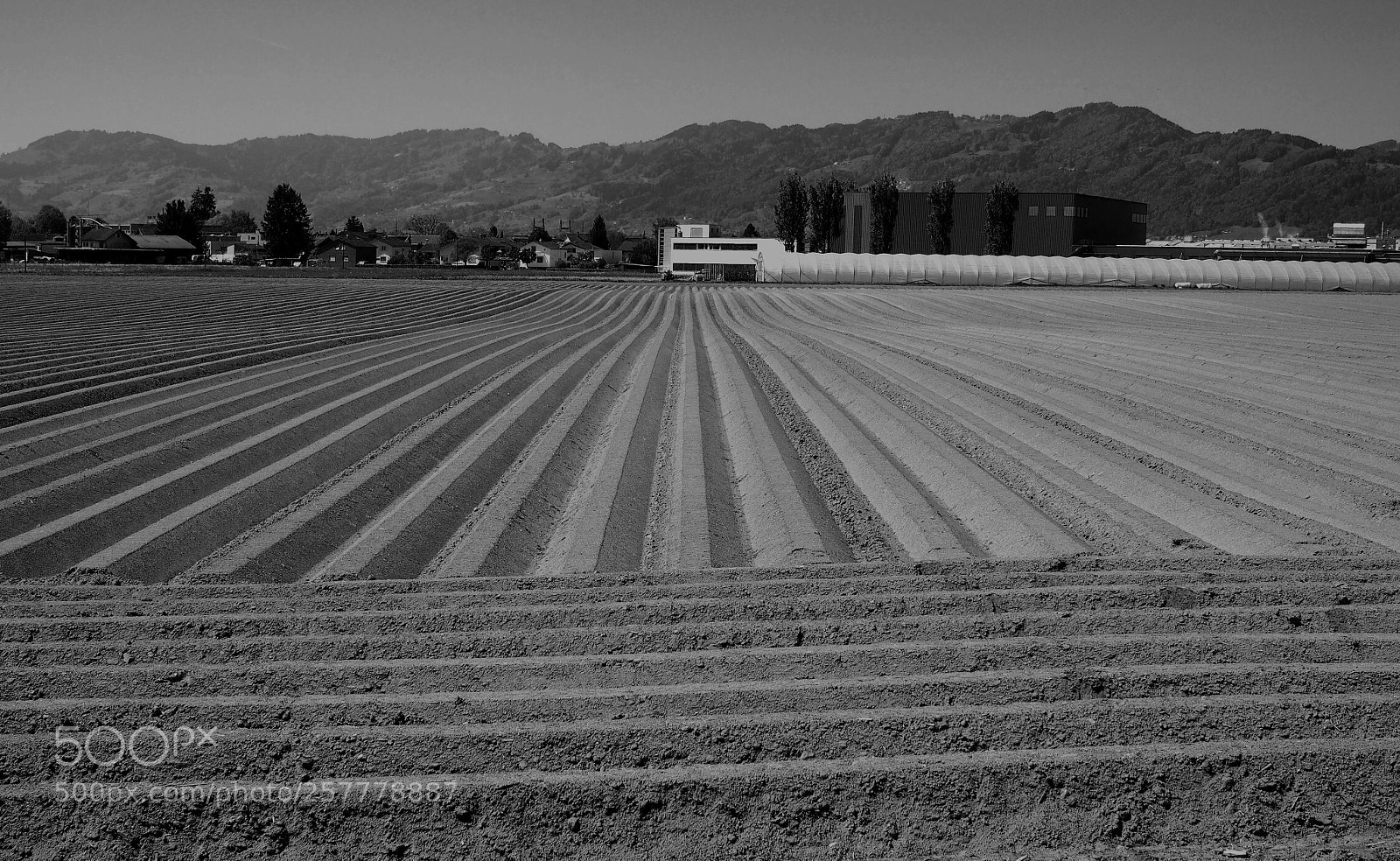 Olympus OM-D E-M5 sample photo. Agricultural land photography