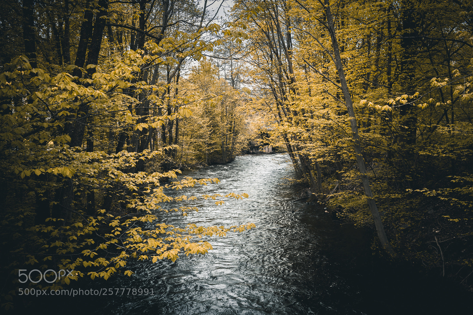 Sony a7R III sample photo. Springtime photography