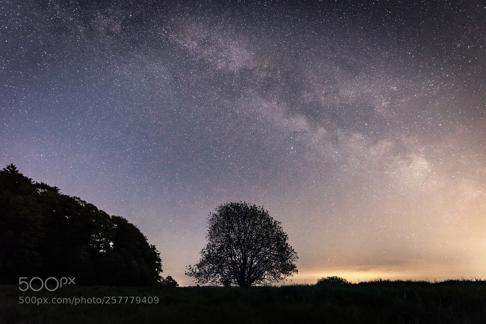 Nikon D810 sample photo. Milkyway silhuette photography