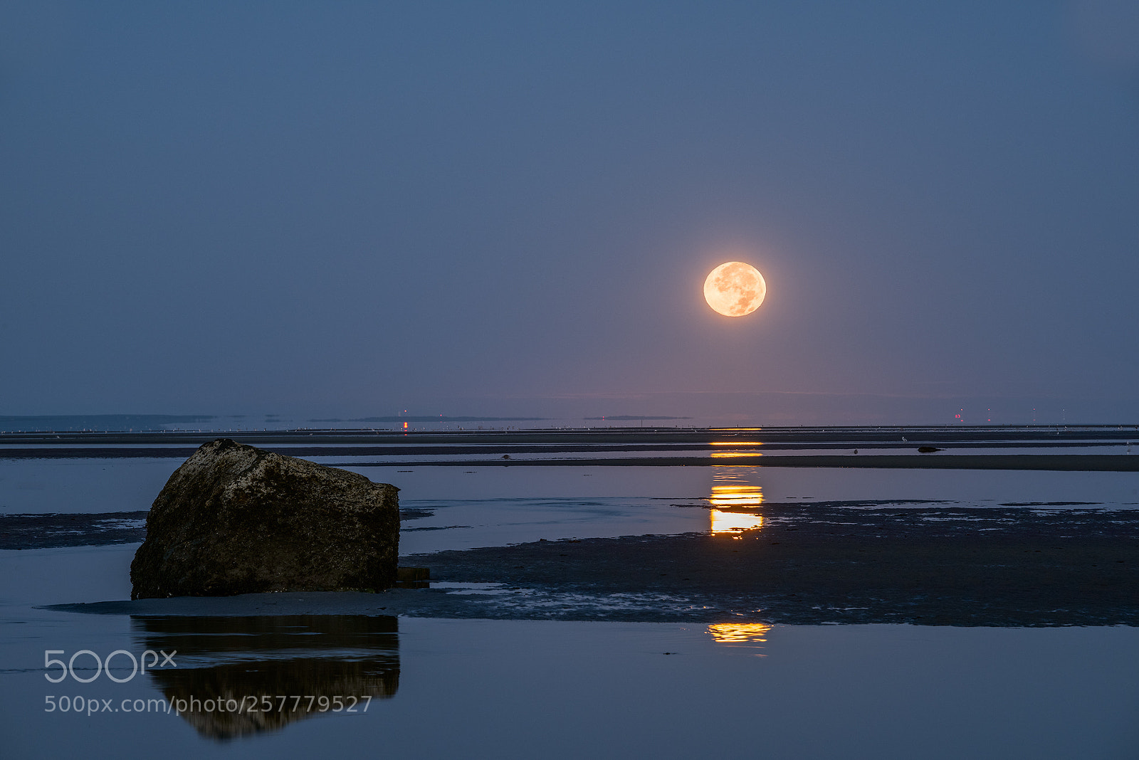 Nikon D810 sample photo. Full moon set at photography