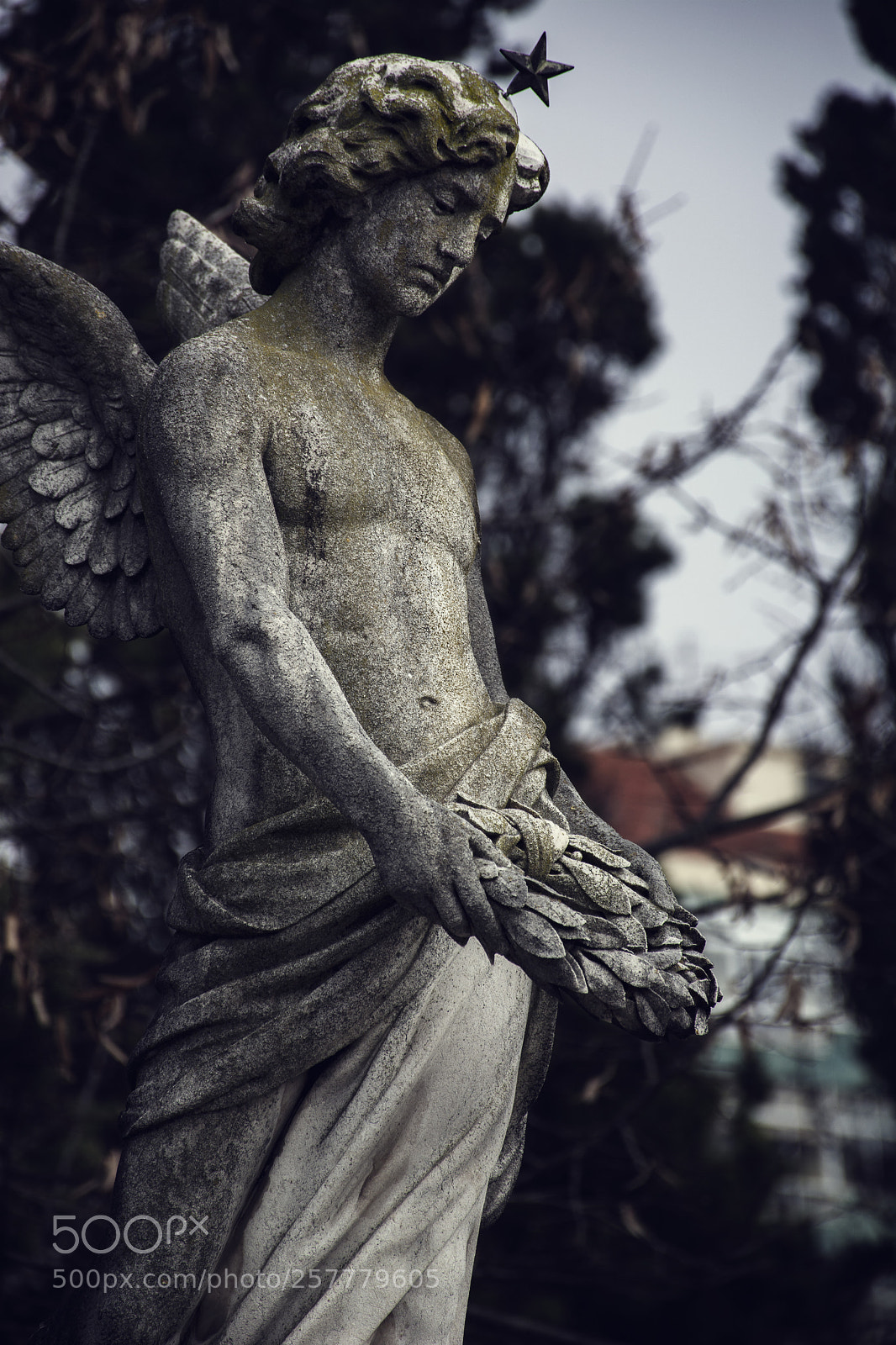 Nikon D7100 sample photo. Ad aeternum photography