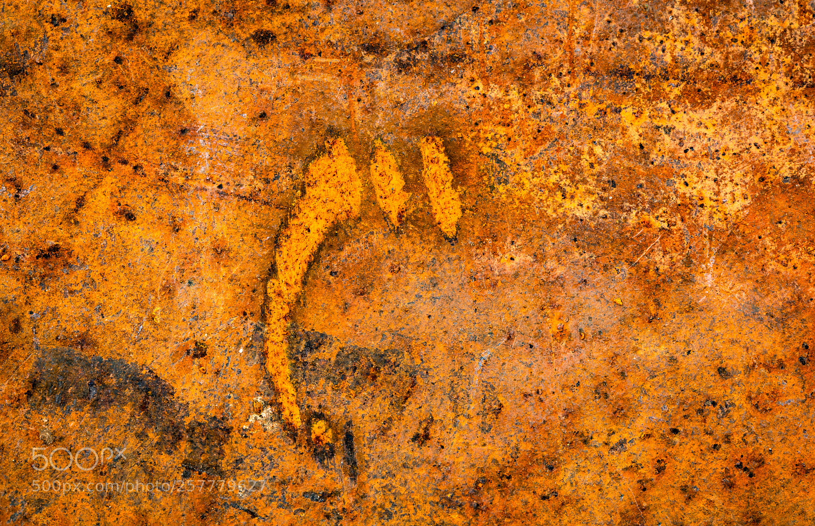 Canon EOS 5D Mark IV sample photo. Rust art photography