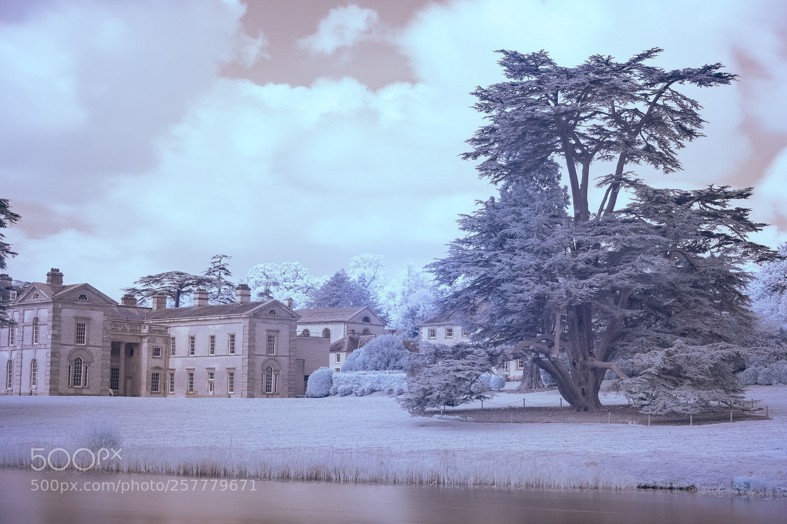 Nikon D850 sample photo. Compton verney infrared photography