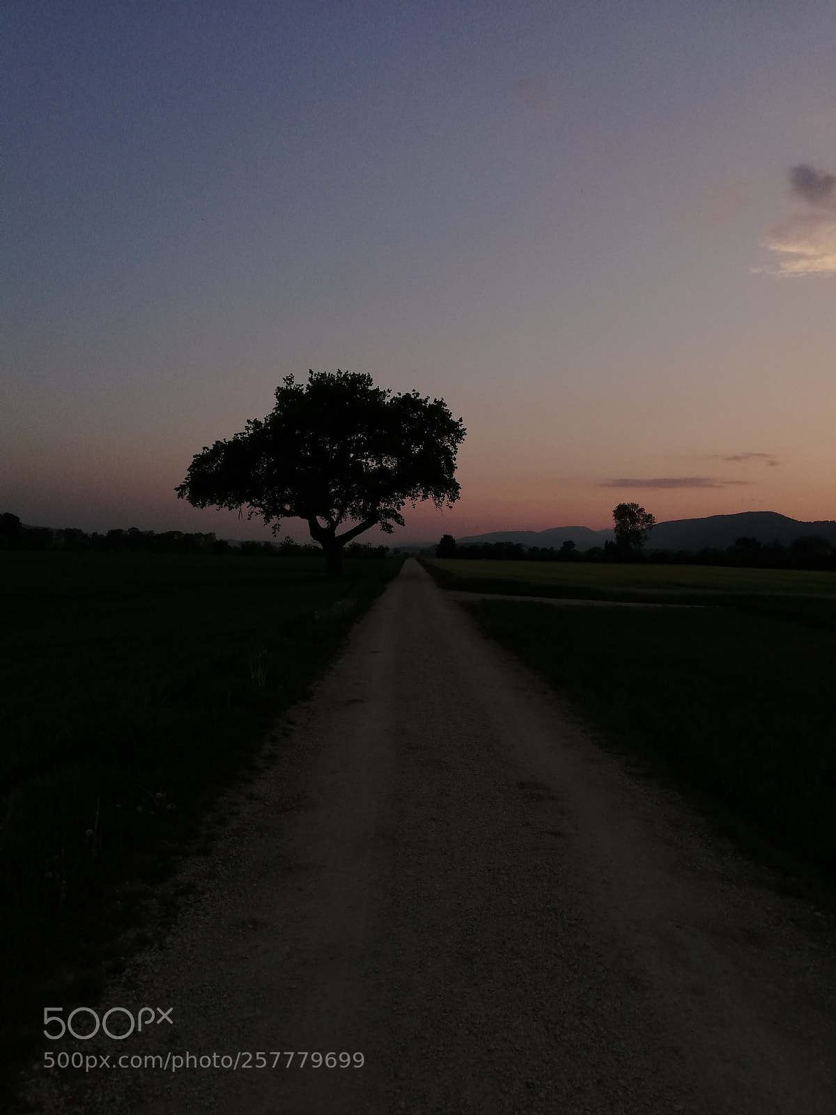 HUAWEI P20 lite sample photo. Dark photography