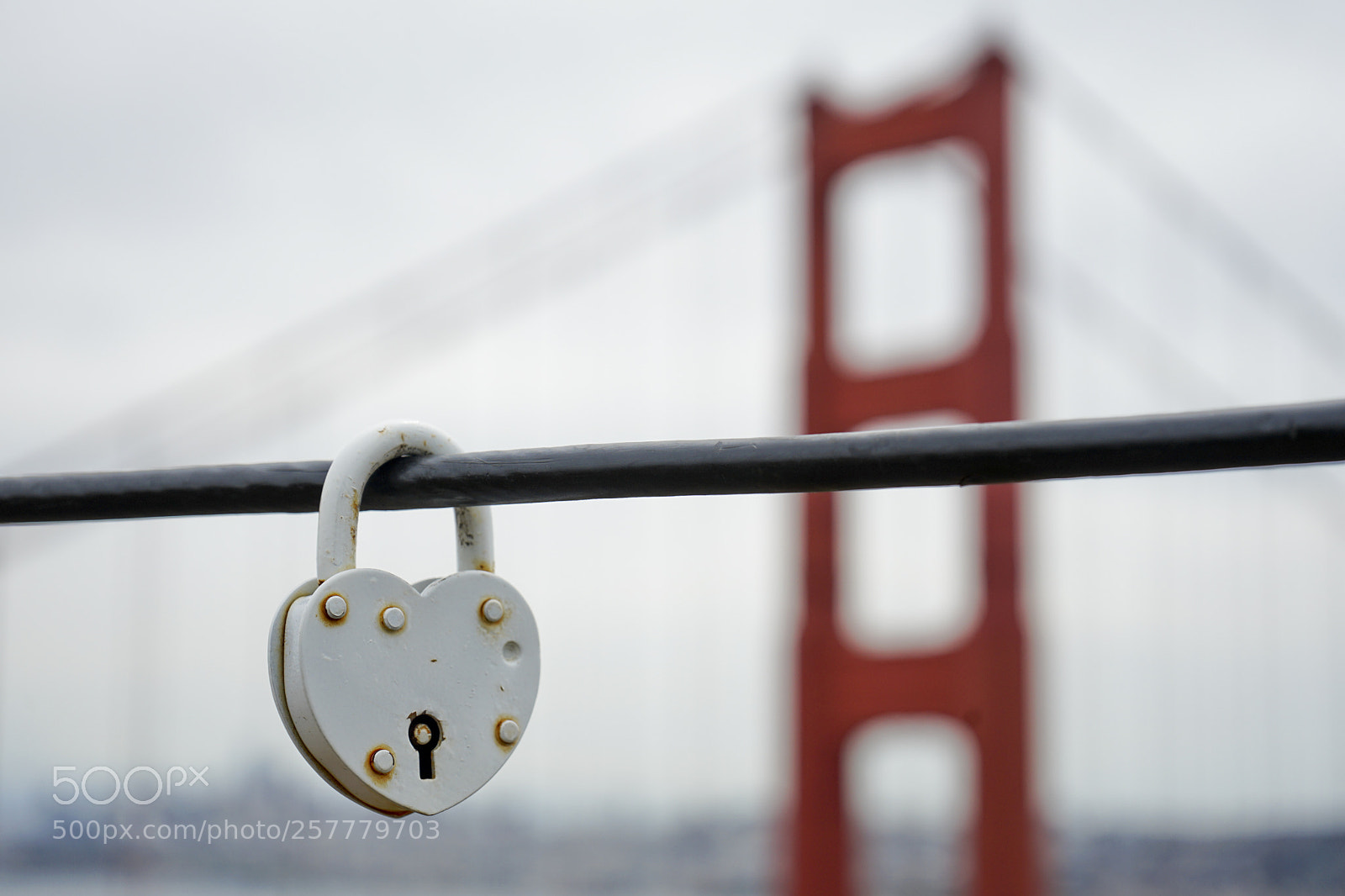 Sony a7 II sample photo. Heart lock photography