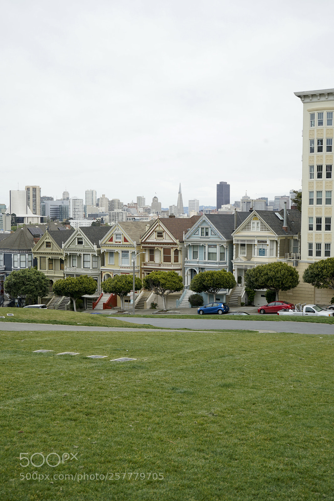 Sony a7 II sample photo. Whatever happened to predictability... photography