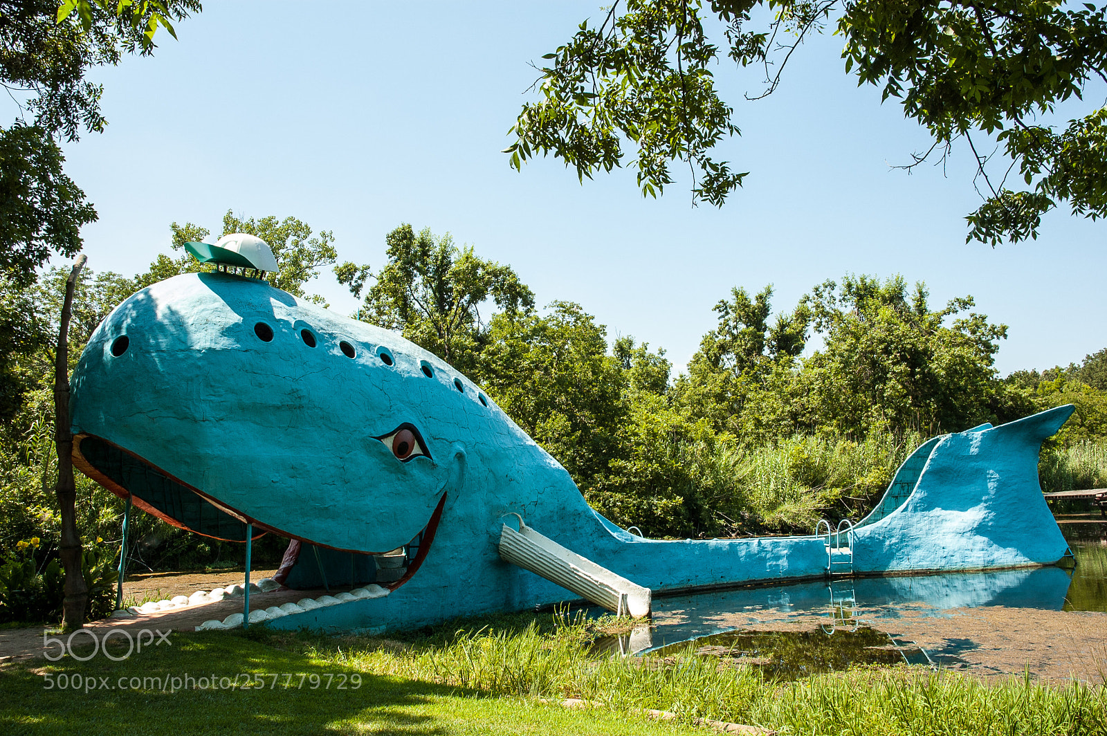 Nikon D70s sample photo. Blue whale of catoosa photography
