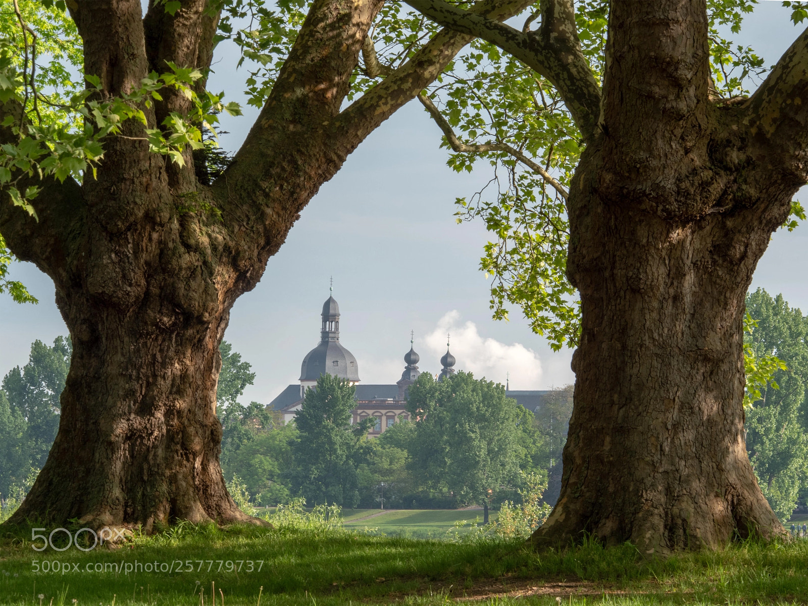 Panasonic Lumix DC-G9 sample photo. Mannheim. view to the photography