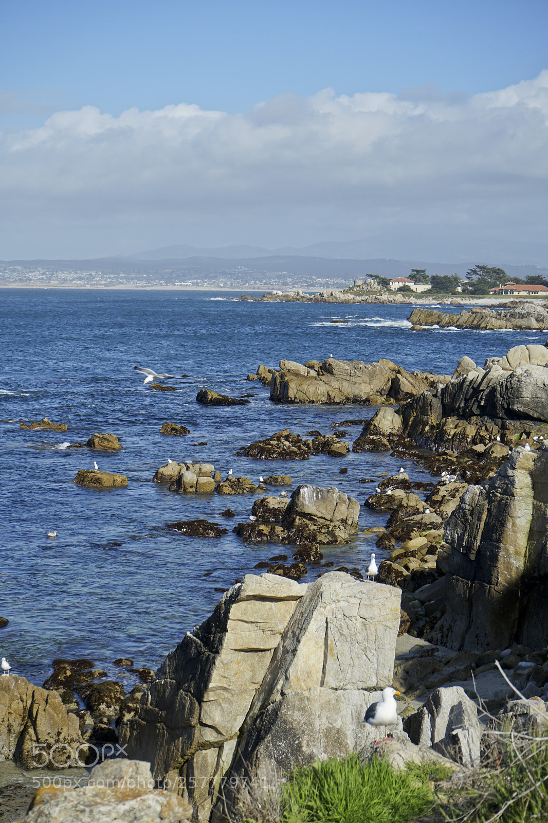 Sony a7 II sample photo. Rocky beach photography