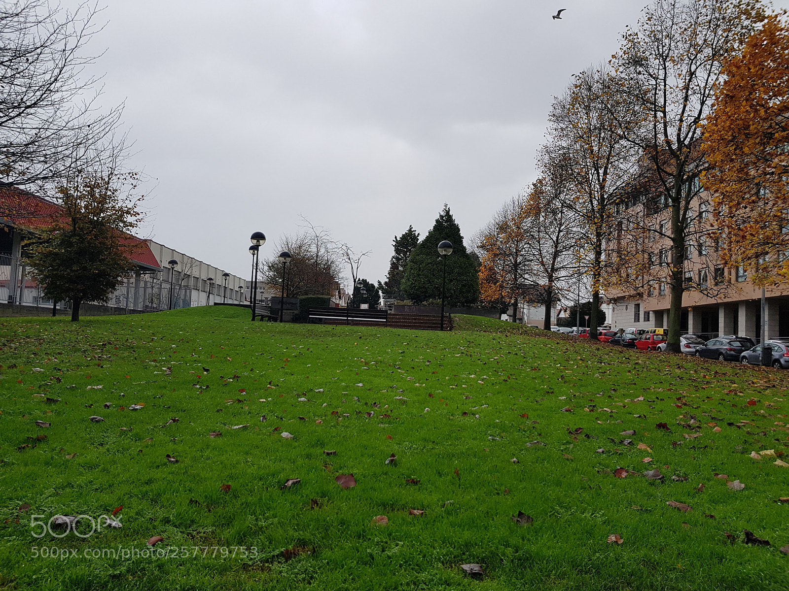 Samsung Galaxy S8 sample photo. 20171209_151244.jpg photography