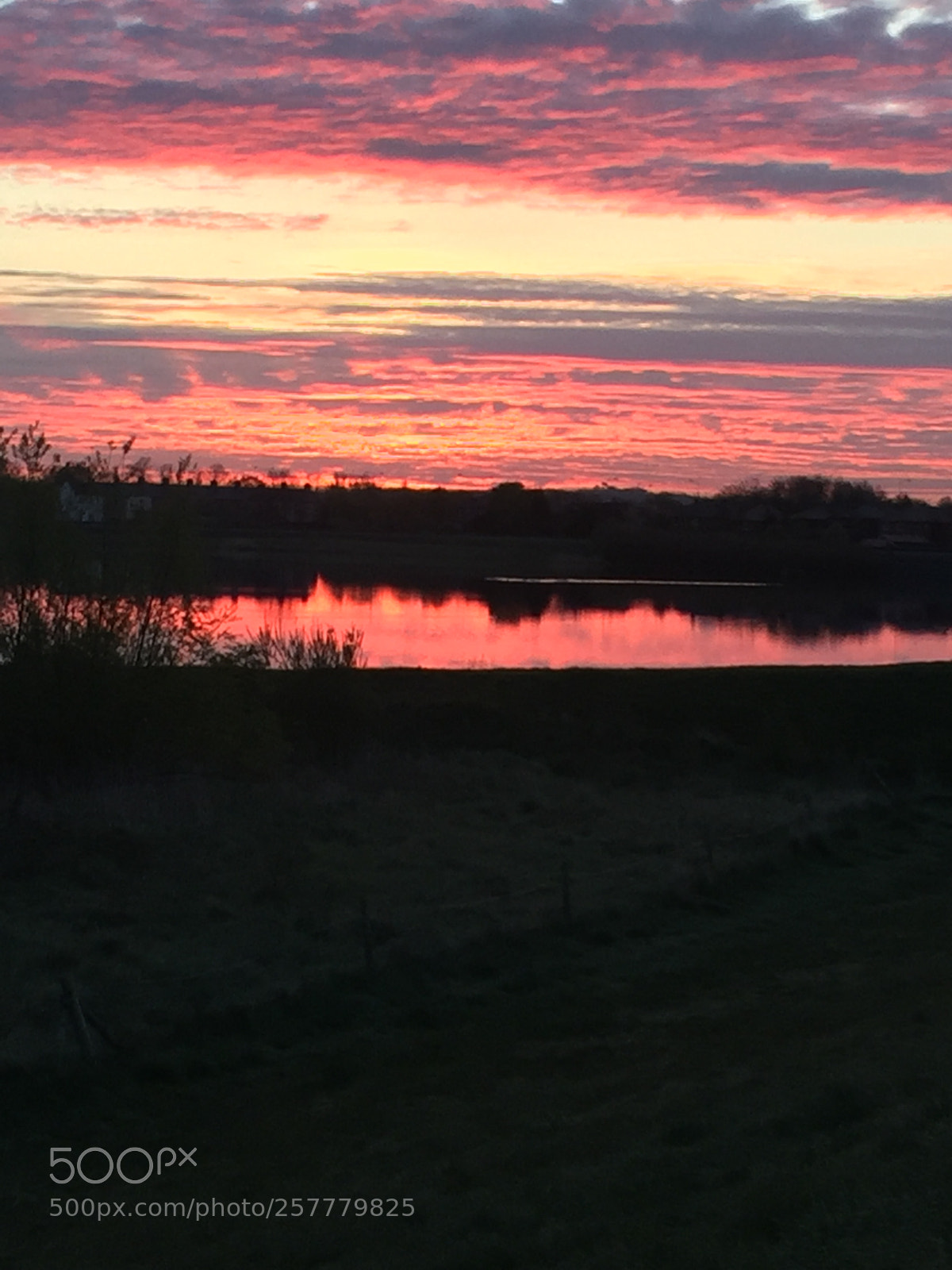 Apple iPhone 6 Plus sample photo. Another glorious morning photography