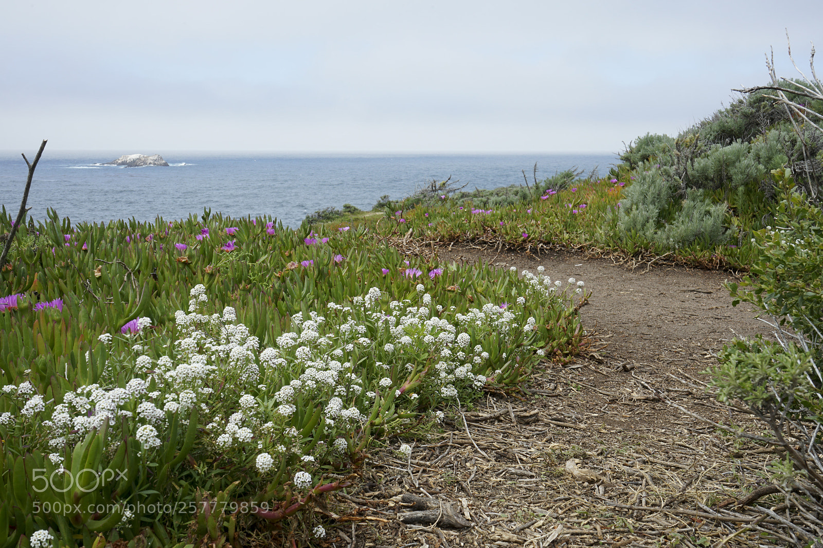 Sony a7 II sample photo. Garrapata state park photography
