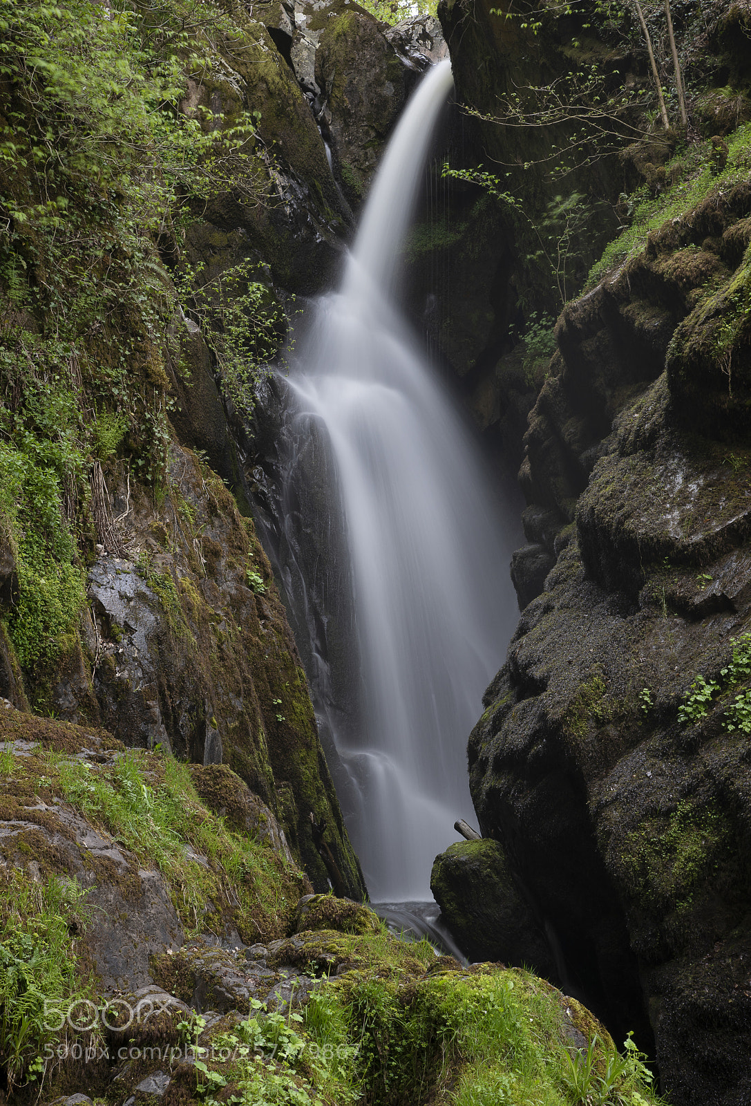 Nikon D750 sample photo. Aira force photography