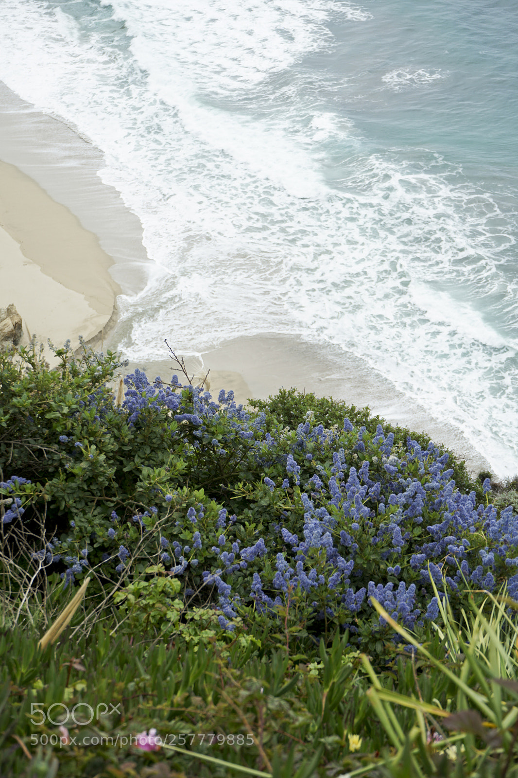 Sony a7 II sample photo. Big sur photography