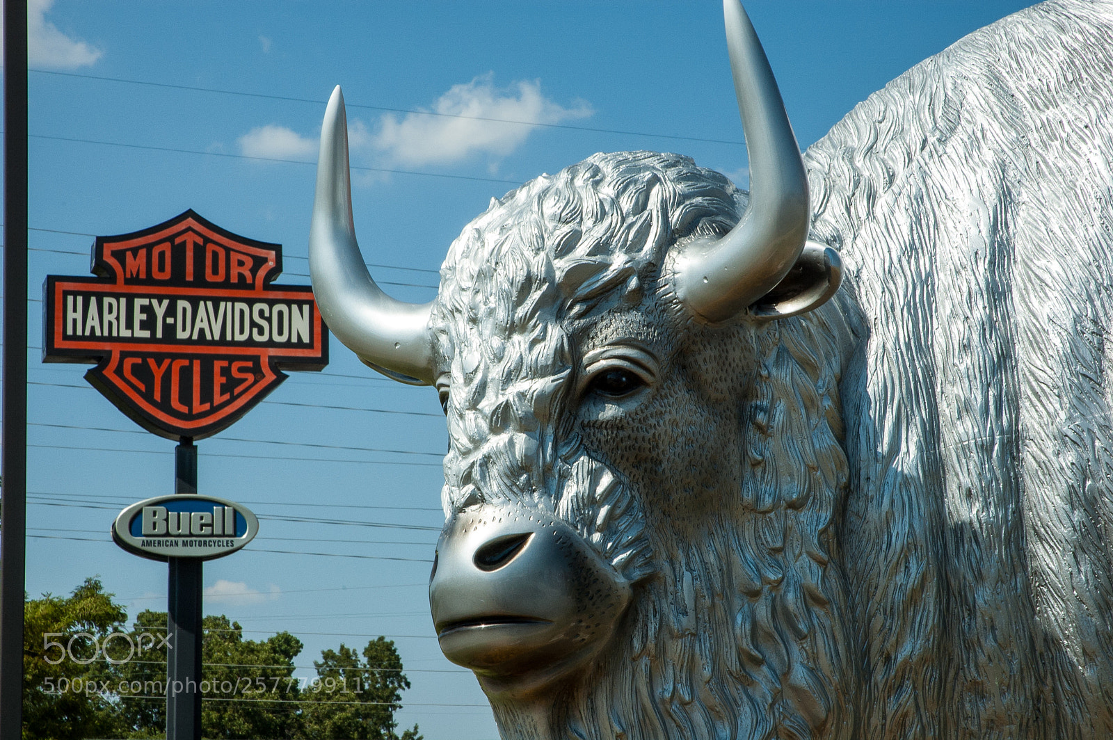 Nikon D70s sample photo. Hd buell photography