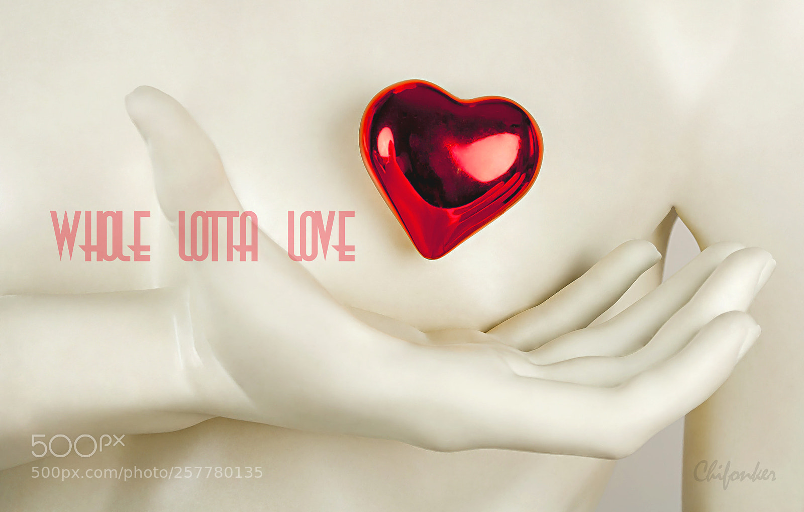 Canon EOS 1000D (EOS Digital Rebel XS / EOS Kiss F) sample photo. Whole lotta love photography