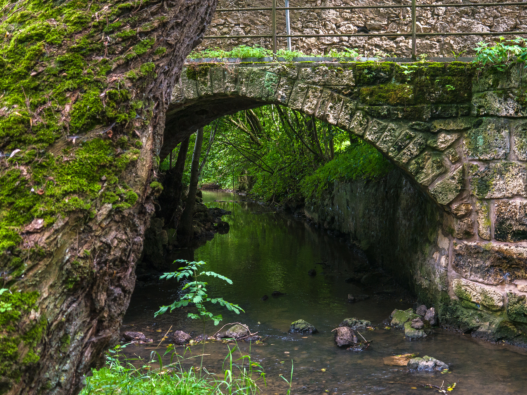 Panasonic Lumix DMC-G5 sample photo. Alte brücke / old bridge photography