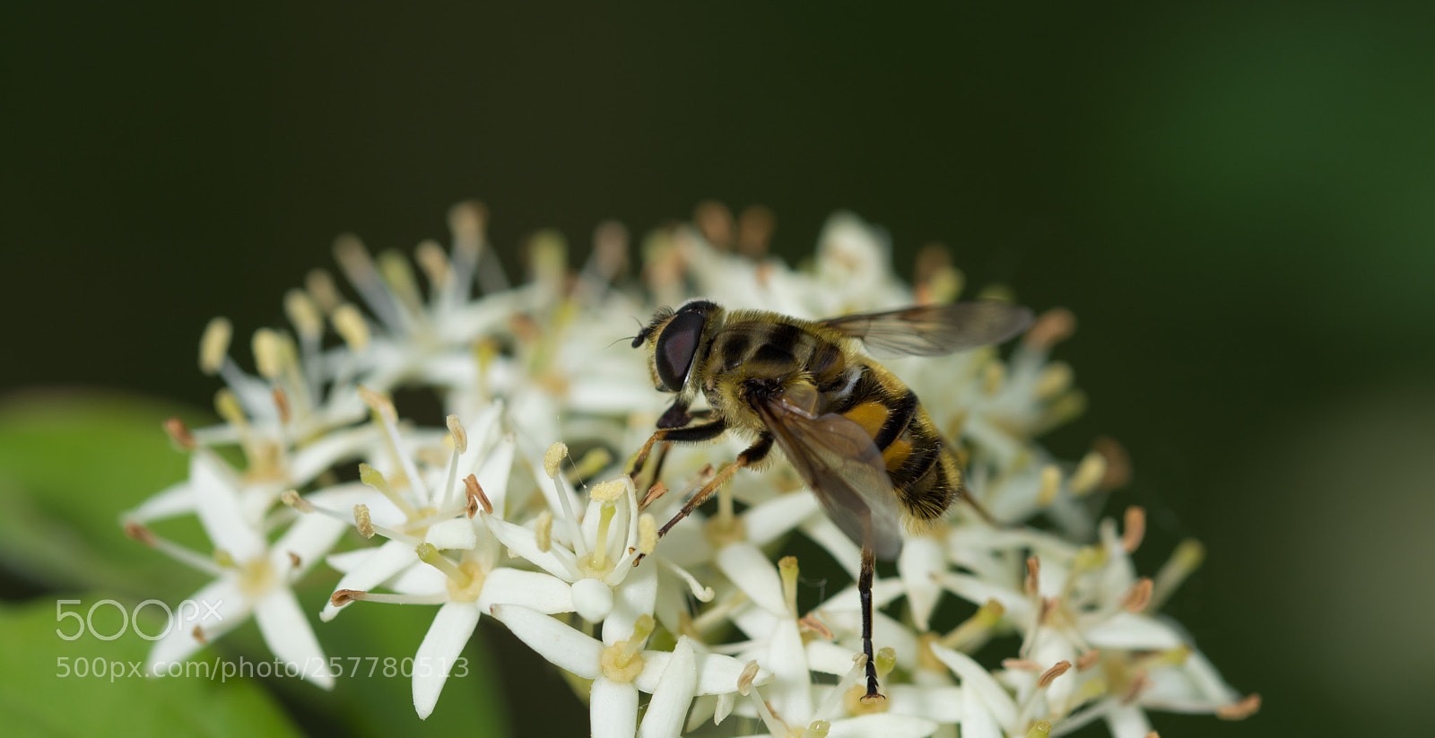 Nikon D7100 sample photo. Untitled photography