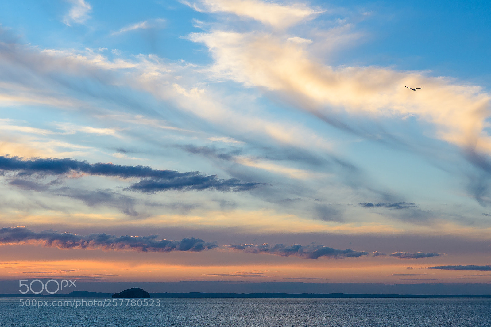 Nikon D500 sample photo. Sunset firth of forth photography