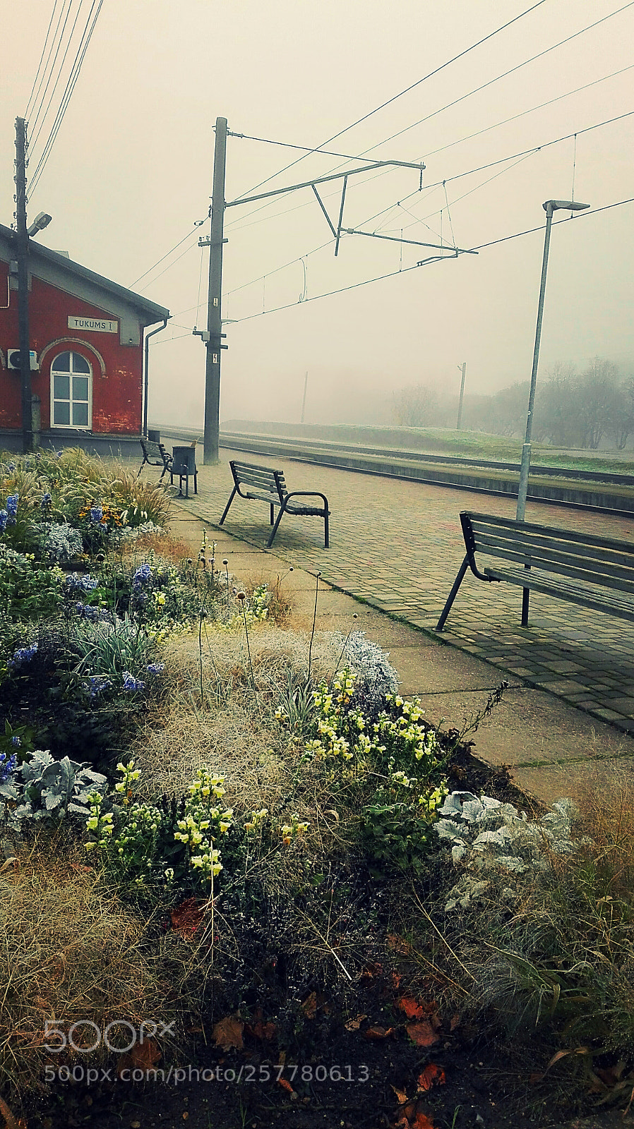 HUAWEI P8 Lite sample photo. Untitled photography