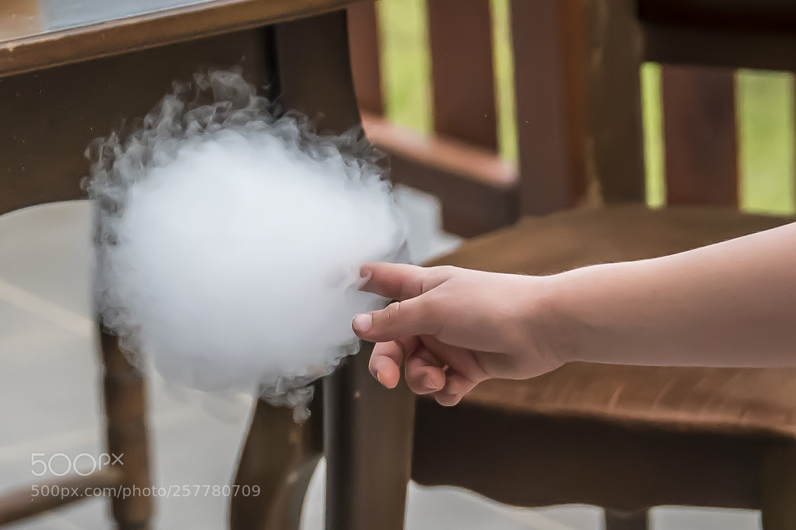 Nikon D750 sample photo. Untitled photography