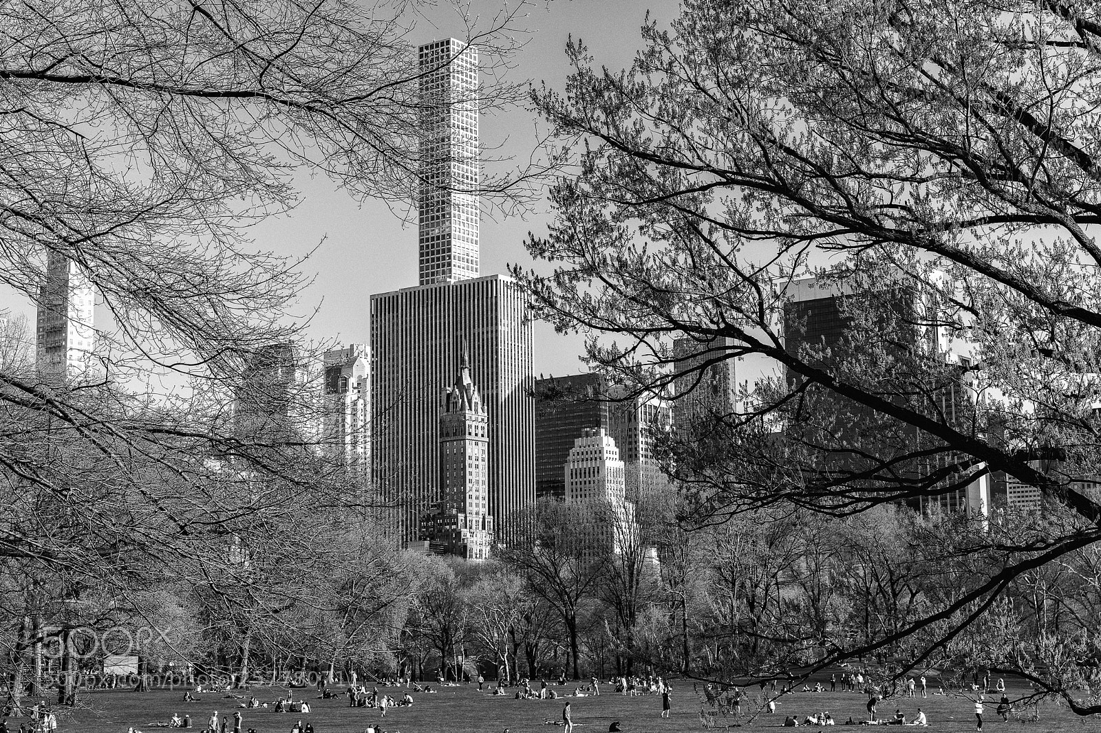 Canon EOS 5D Mark IV sample photo. Central park photography