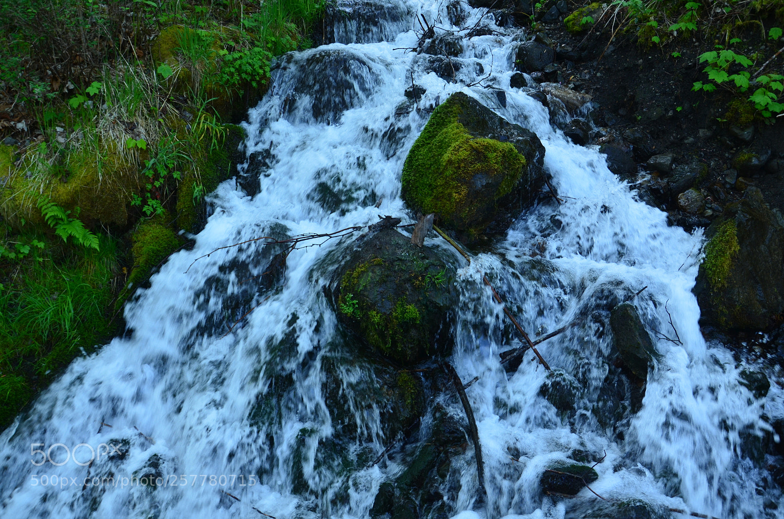 Nikon D7000 sample photo. Rattlesnake lake (wa) photography