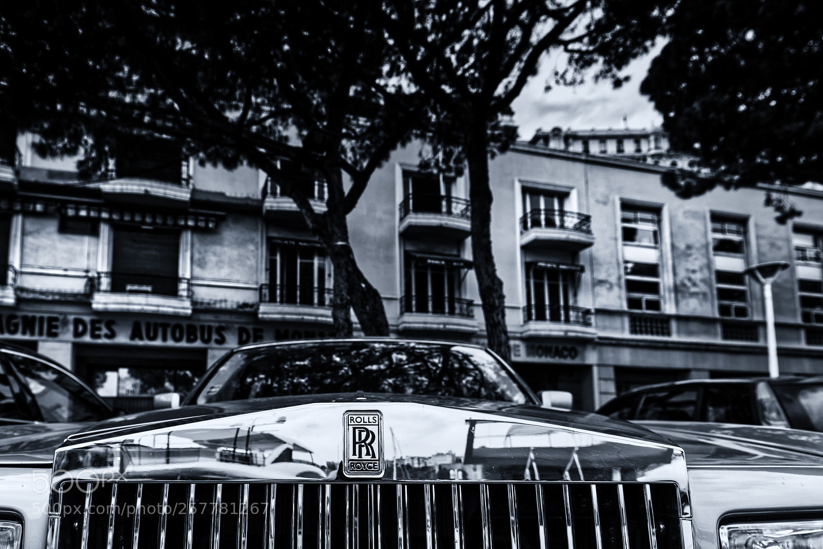 Nikon D810 sample photo. Rolls royce @ harbor monaco ! photography