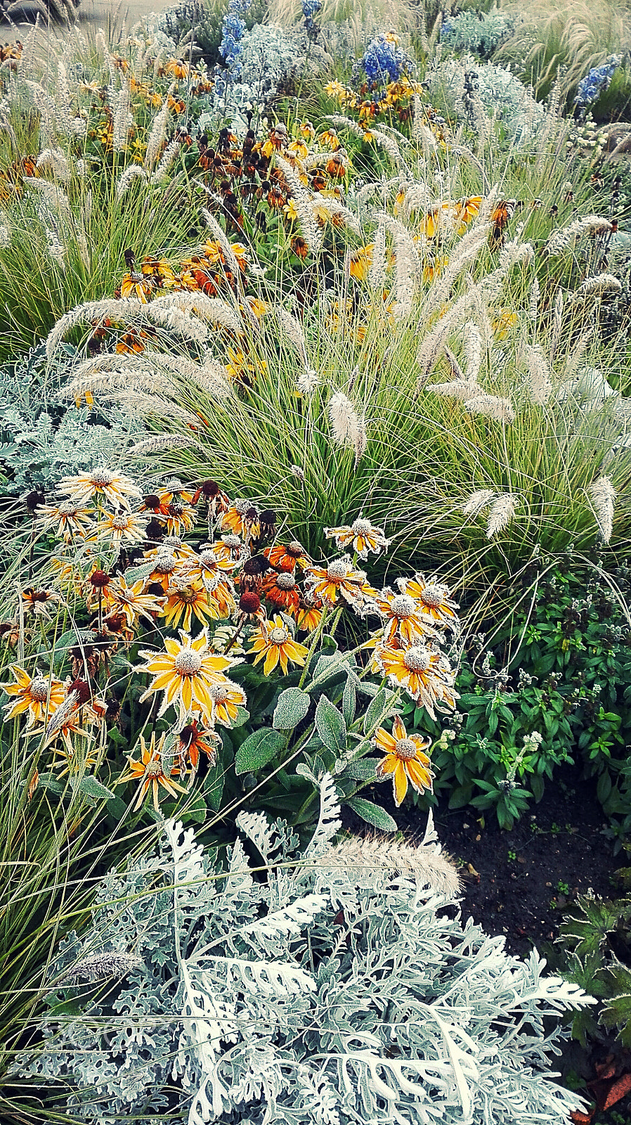 HUAWEI P8 Lite sample photo. Untitled photography
