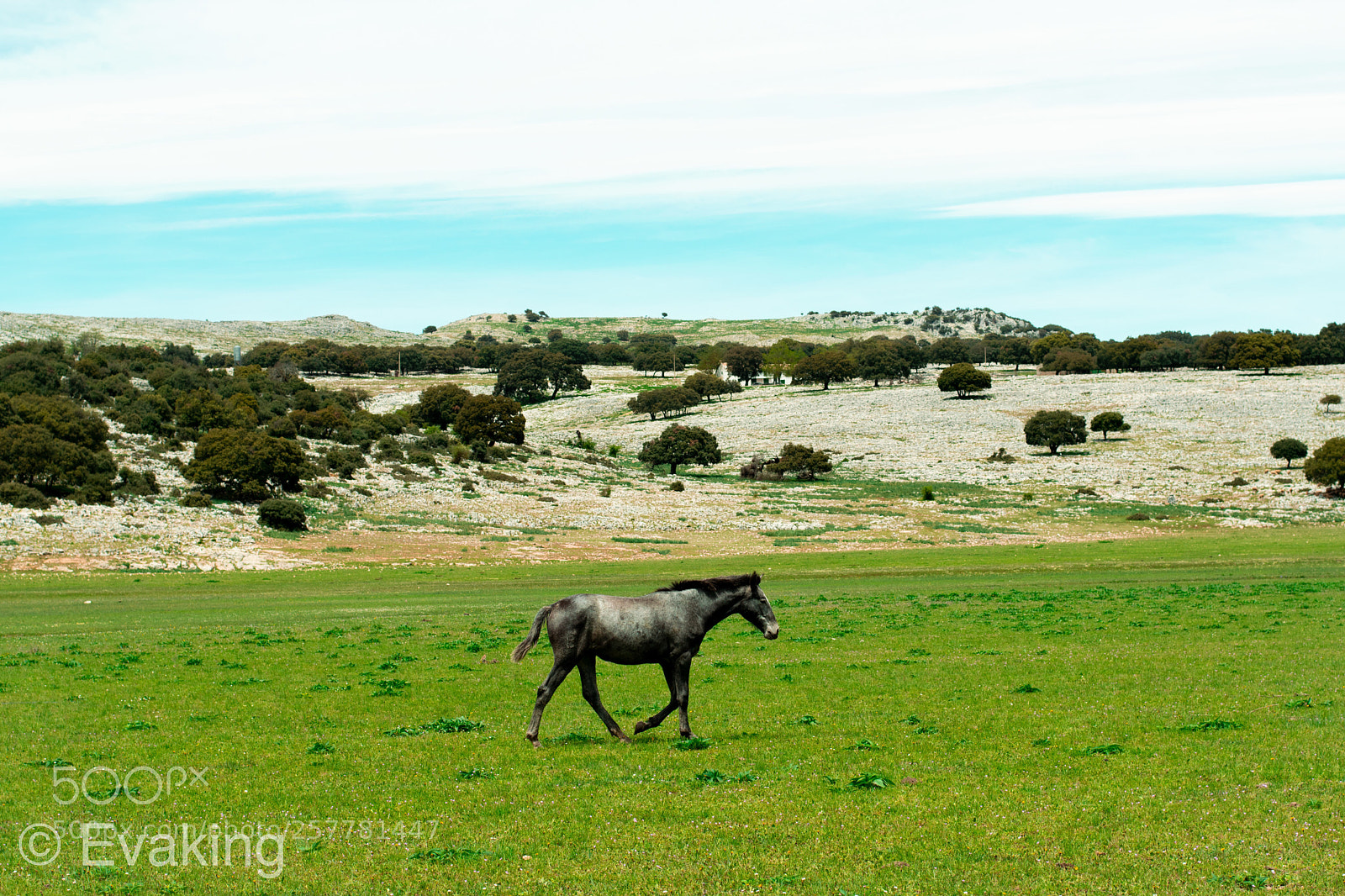 Nikon D3300 sample photo. Prado photography