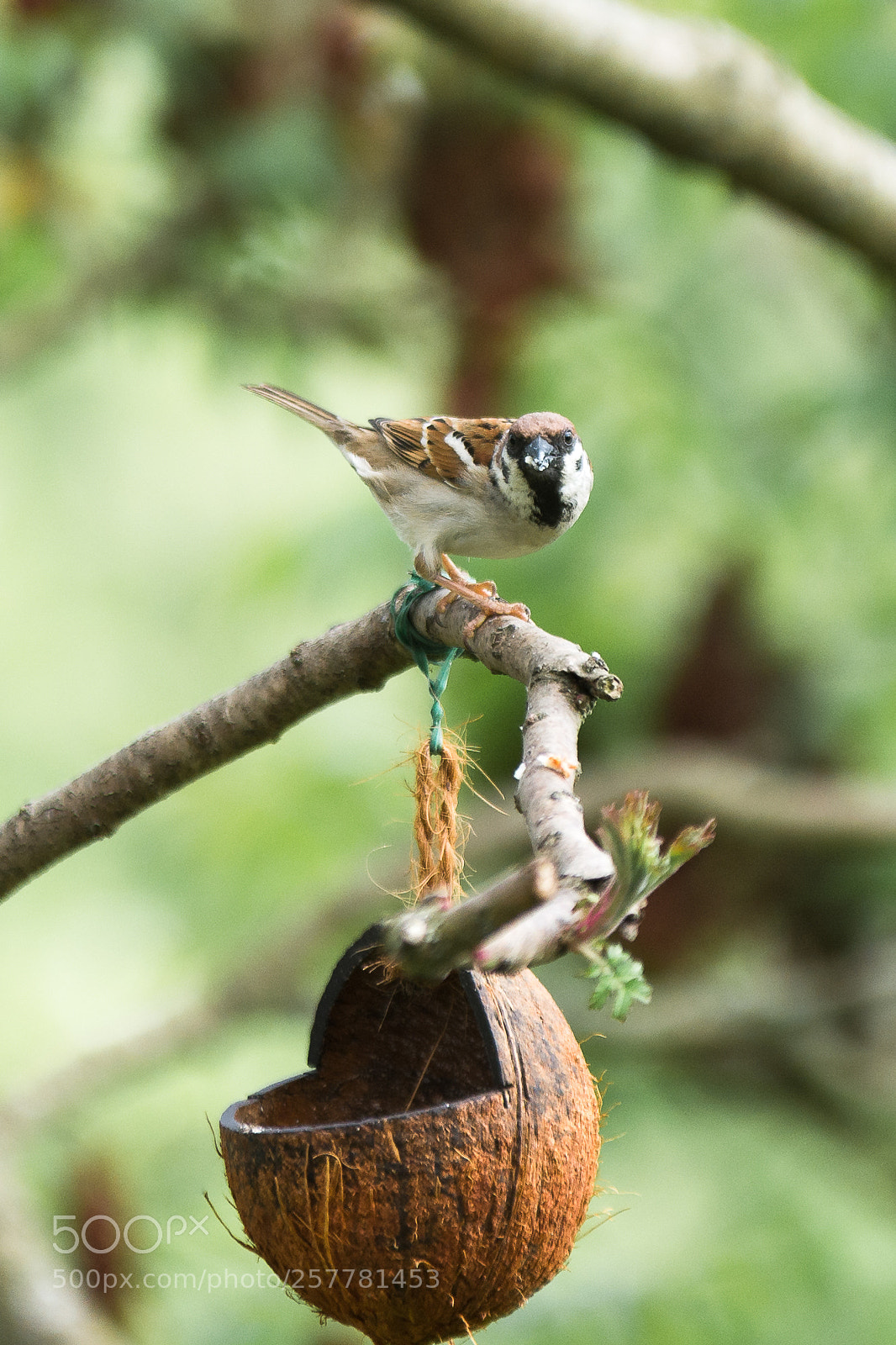Nikon D7100 sample photo. Wer beobachtet wen? photography