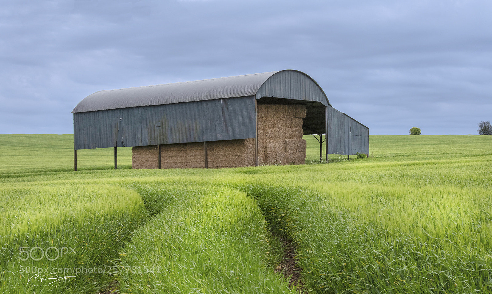 Nikon D850 sample photo. Sixpenny barn photography