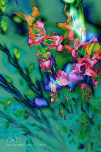 Nikon D750 sample photo. Designer 127203 x19 photography