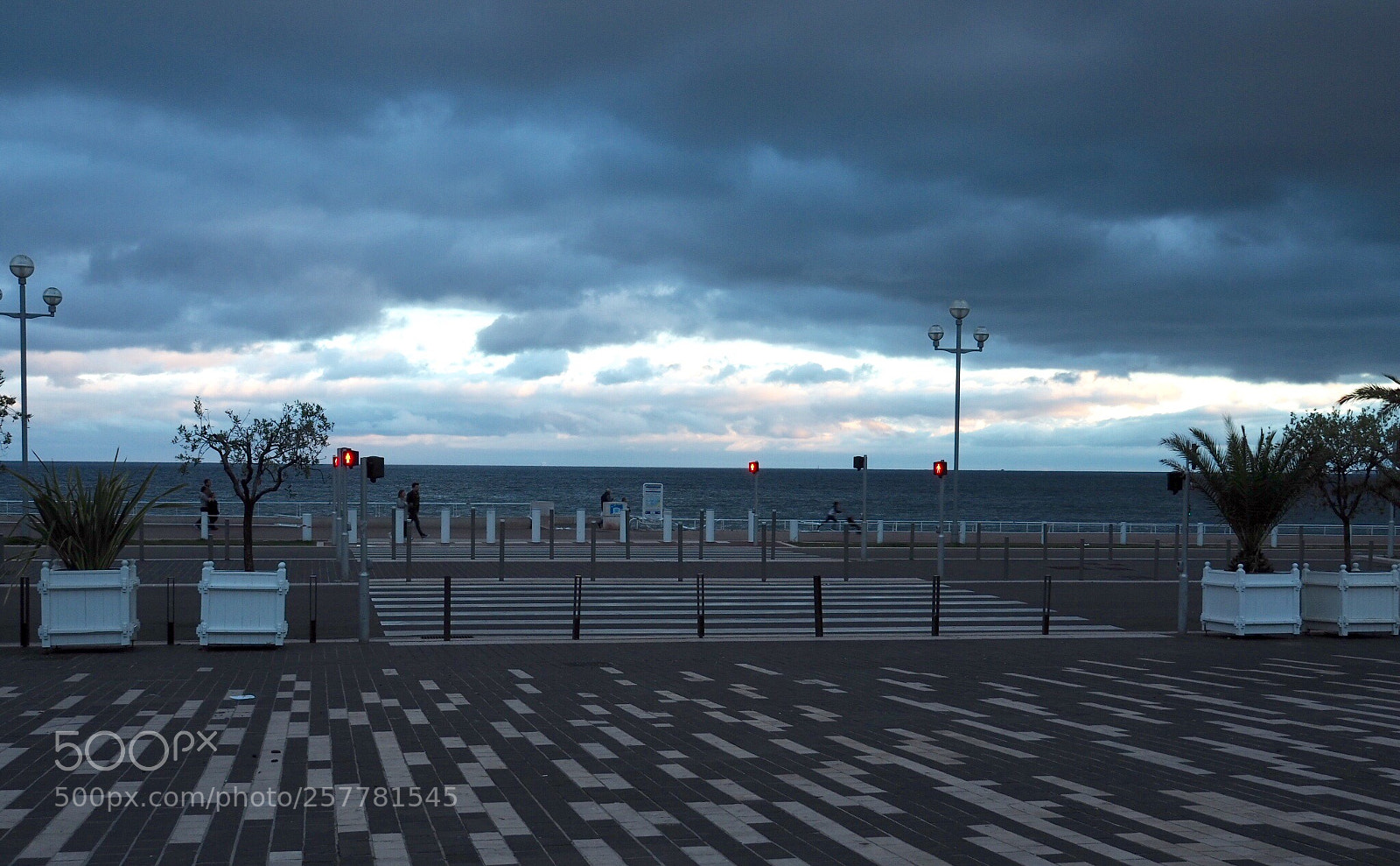 Olympus OM-D E-M5 II sample photo. Untitled photography
